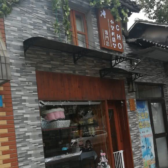 小型犬造型:常州市钟楼区怀德桥附近
