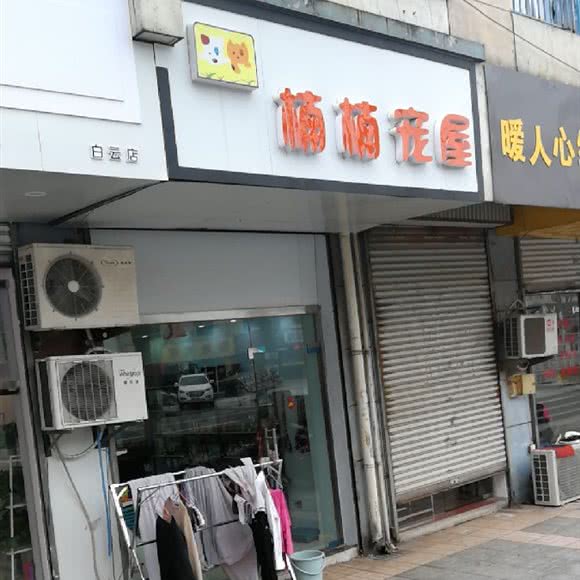 楠楠宠屋:常州市钟楼区花园新村/谭墅附近