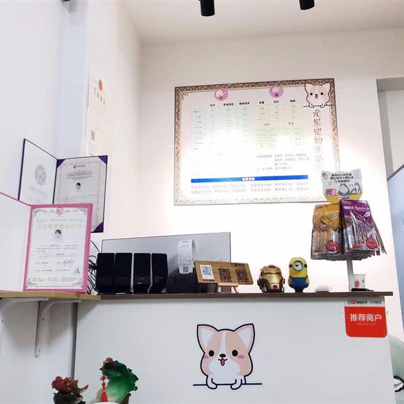 尤里宠物生活馆:常州市钟楼区怀德路附近