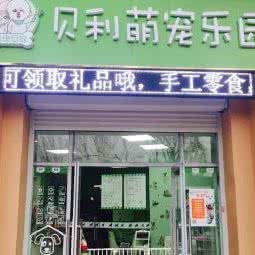 贝利萌宠乐园:常州市钟楼区芦墅附近