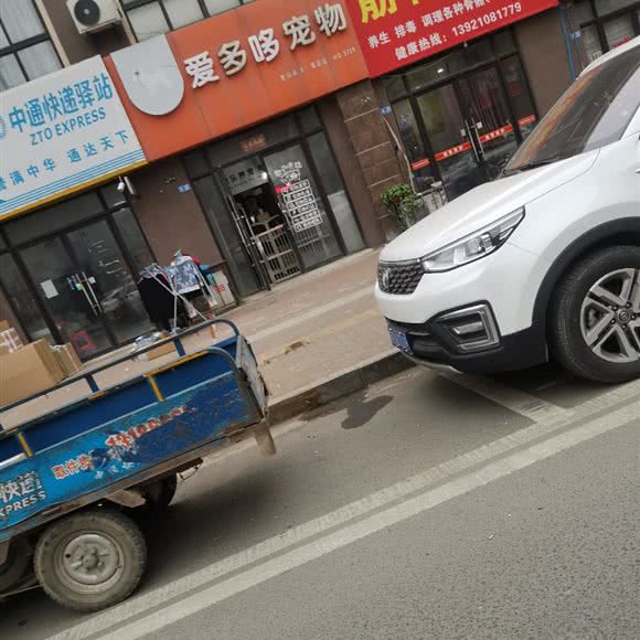 爱多哆宠物(邹区店):常州市钟楼区邹区镇附近