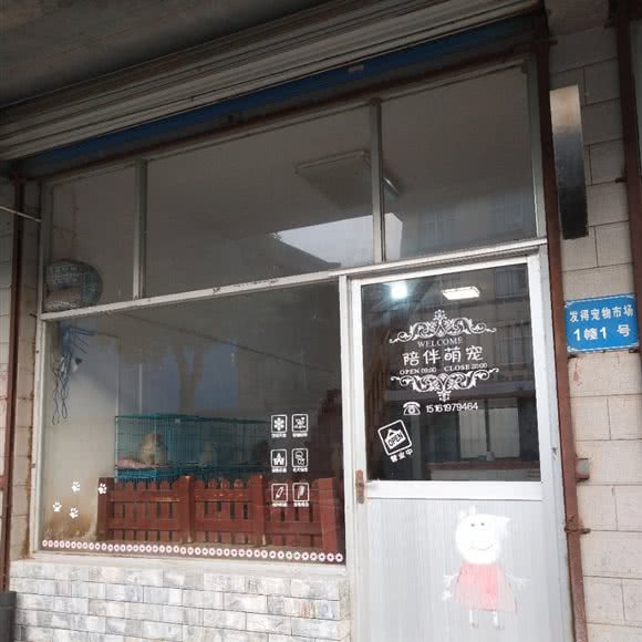 陪伴萌宠:常州市钟楼区邹区镇附近