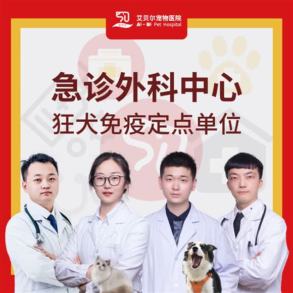 艾贝尔宠物医院(新北万达分院):常州市新北区新北万达附近