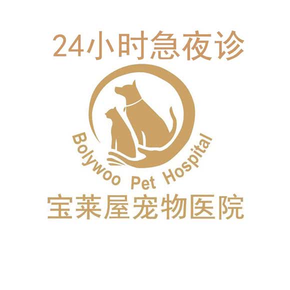 宝莱屋宠物医院24小时夜诊(新北总院):常州市新北区新北万达附近