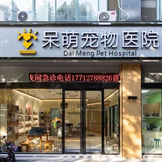 呆萌宠物医院24小时:常州市新北区太湖路附近