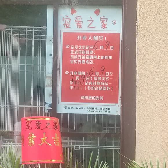 萌宠小屋宠爱之十家:常州市新北区龙虎塘附近