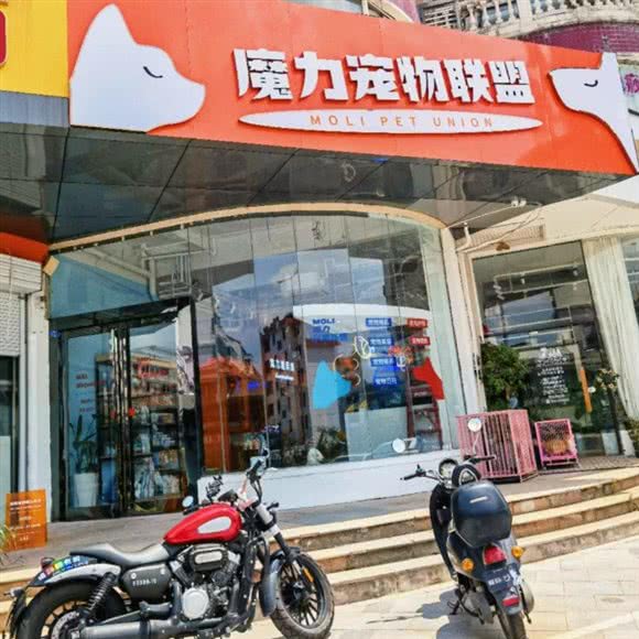 魔力联盟宠物店:常州市新北区晋陵北路附近