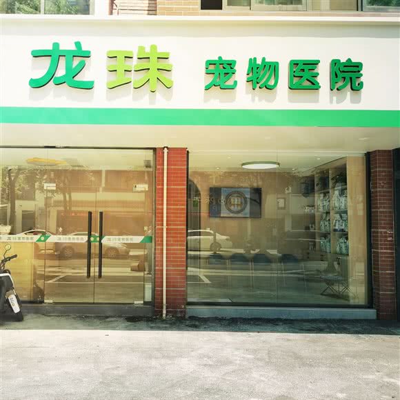 龙珠宠物医院(新北河海院):常州市新北区晋陵北路附近