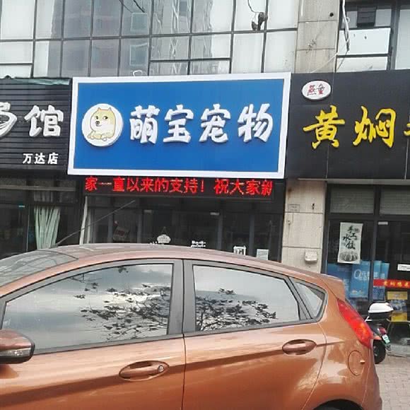 萌宝宠物:常州市新北区新北中心公园附近