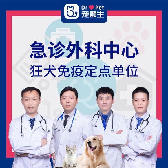 宠颐生美多格动物医院·内科(湖塘分院):常州市武进区吾悦广场附近