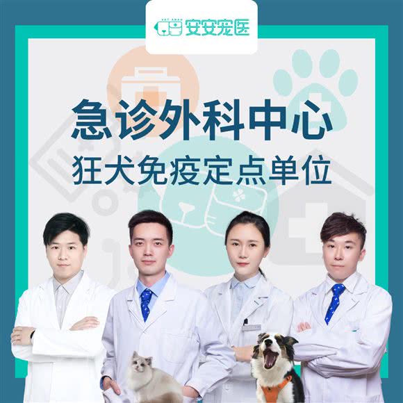 安安宠医(花园街分店):常州市武进区路劲又一城附近