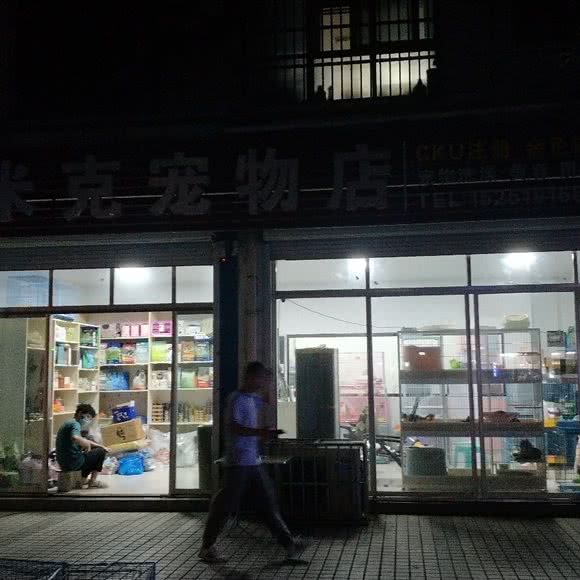 米克宠物店:常州市武进区鸣凰大学城附近