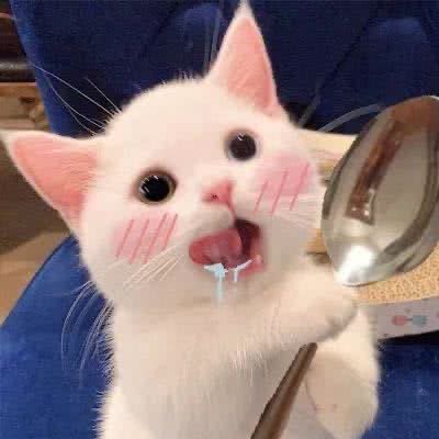 萌猫狗狗工作室:常州市武进区武进万达广场附近