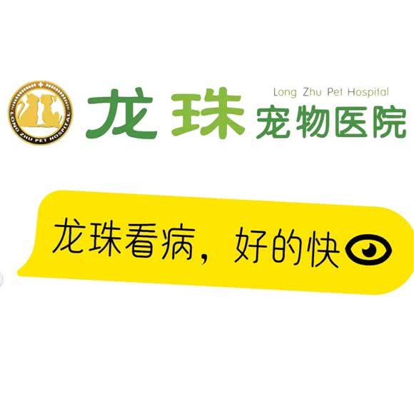 龙珠宠物医院(猫病/眼科/湖塘分院):常州市武进区新天地广场附近