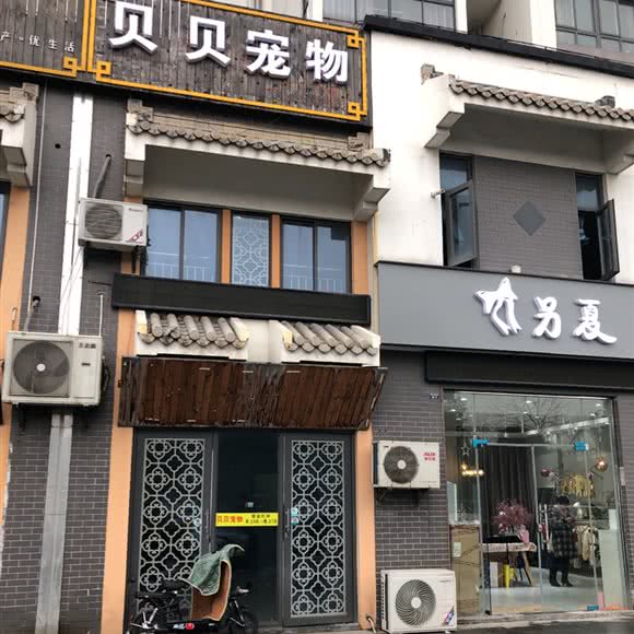 贝贝宠物:常州市武进区春秋淹城附近