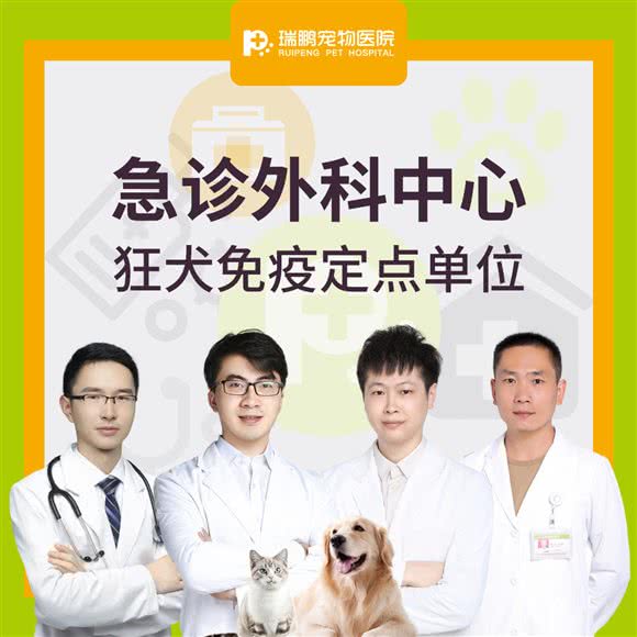 瑞鹏宠物医院(武宜中路店):常州市武进区春秋淹城附近