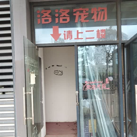 洛洛宠物生活馆:常州市武进区横山桥镇附近