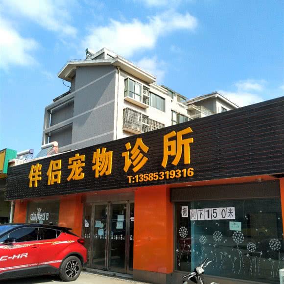 伴侣宠物诊所:常州市武进区横山桥镇附近