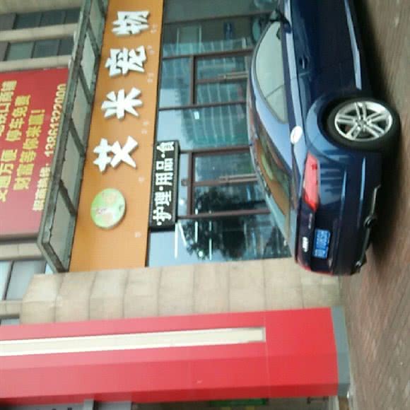 艾米宠物:常州市武进区延政中路附近