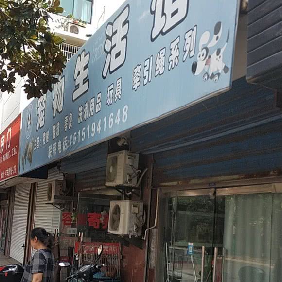 艾薇儿宠物生活馆:常州市武进区横林镇附近