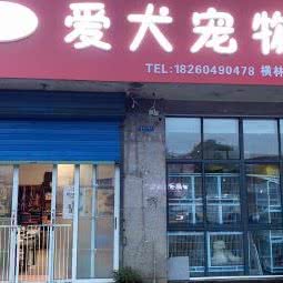 爱犬宠物:常州市武进区横林镇附近
