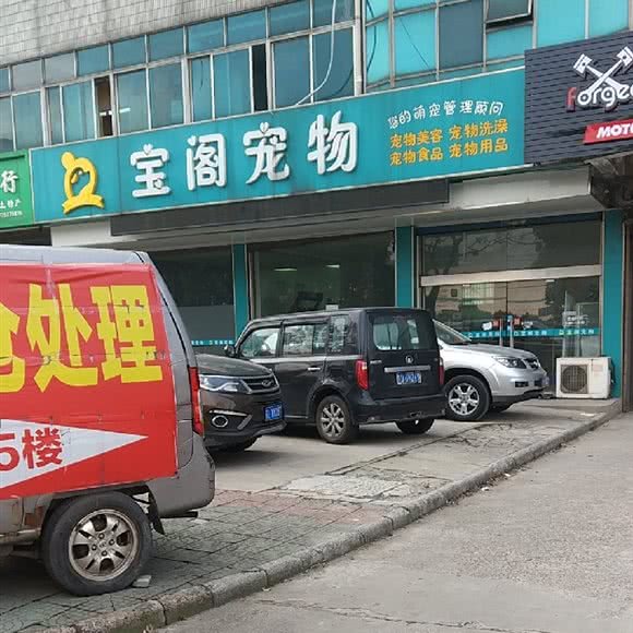宝阁宠物狗:常州市武进区古方路附近