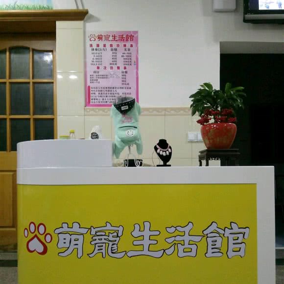 萌宠生活馆:常州市武进区遥观镇附近
