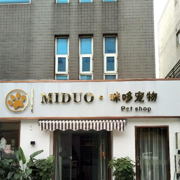咪哆宠物:常州市武进区遥观镇附近