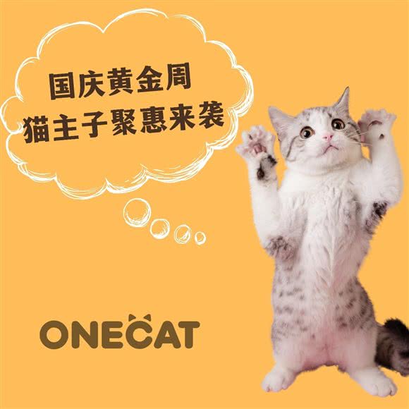OneCat壹猫?猫咖(龙湖店):苏州市虎丘区龙湖狮山天街商场附近