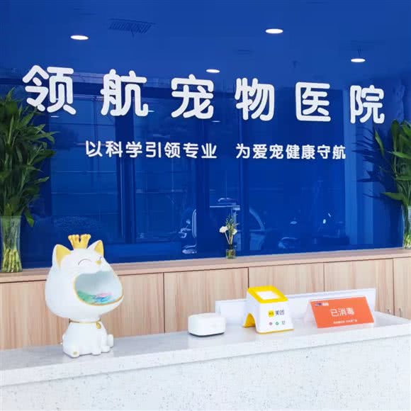 领航宠物医院:苏州市虎丘区龙湖狮山天街商场附近
