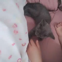 犬心犬意宠物生活馆:苏州市虎丘区汇金新地附近