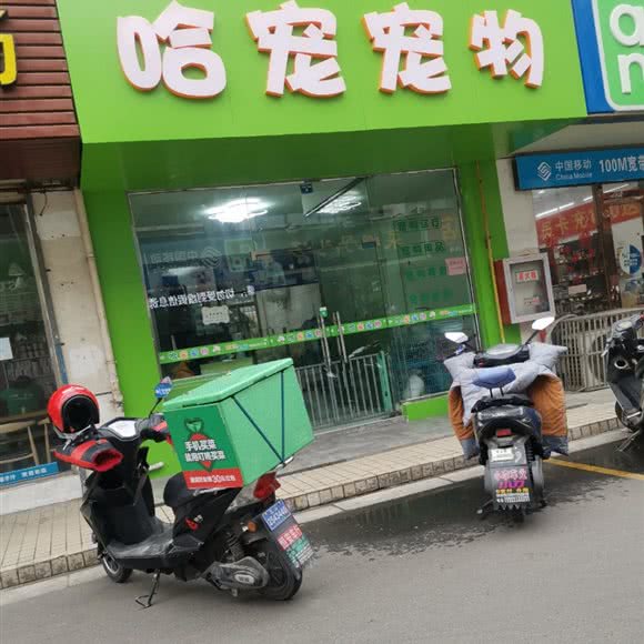 哈宠狗狗:苏州市虎丘区通安镇附近