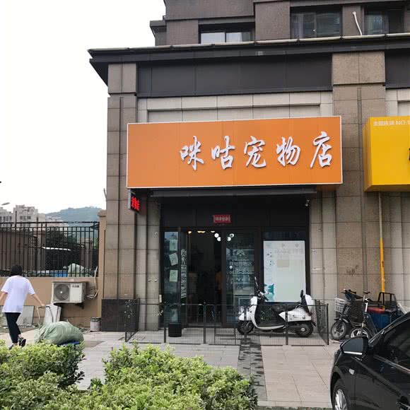 咪咕宠物店:苏州市吴中区木渎地区附近