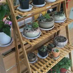 宽心宠物生活馆(木渎店):苏州市吴中区木渎地区附近