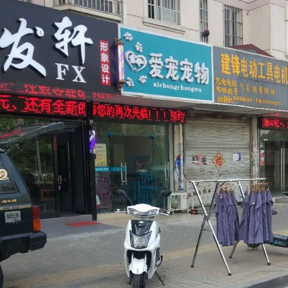 爱宠宠物:苏州市吴中区长桥地区附近