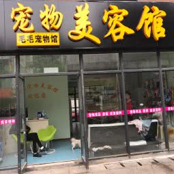 毛毛宠物美容馆(吴中店):苏州市吴中区长桥地区附近