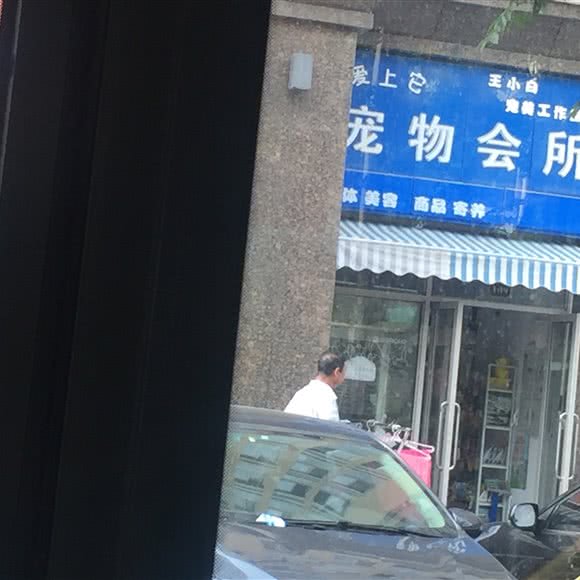 王小白 爱上它 宠物会所:苏州市吴中区长桥地区附近