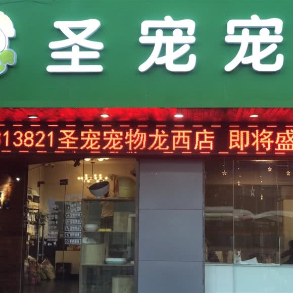 圣宠宠物狗:苏州市吴中区长桥地区附近