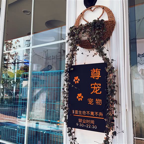 尊宠宠物店:苏州市吴中区长桥地区附近