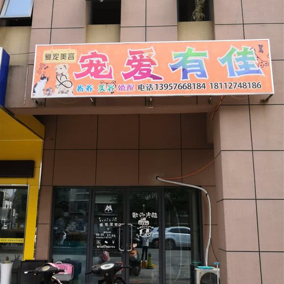 小龅牙宠物有佳:苏州市吴中区郭巷镇附近