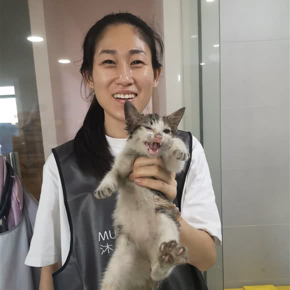 丸子の宠物店:苏州市吴中区郭巷镇附近