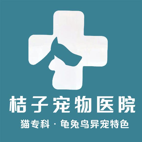桔子宠物医院 猫专科(尹山湖店):苏州市吴中区郭巷镇附近