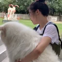 苏州布拉多宠物乐园:苏州市吴中区临湖镇/横泾镇附近