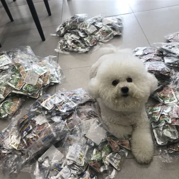 优宠宠物店(黄埭店):苏州市相城区黄埭镇附近