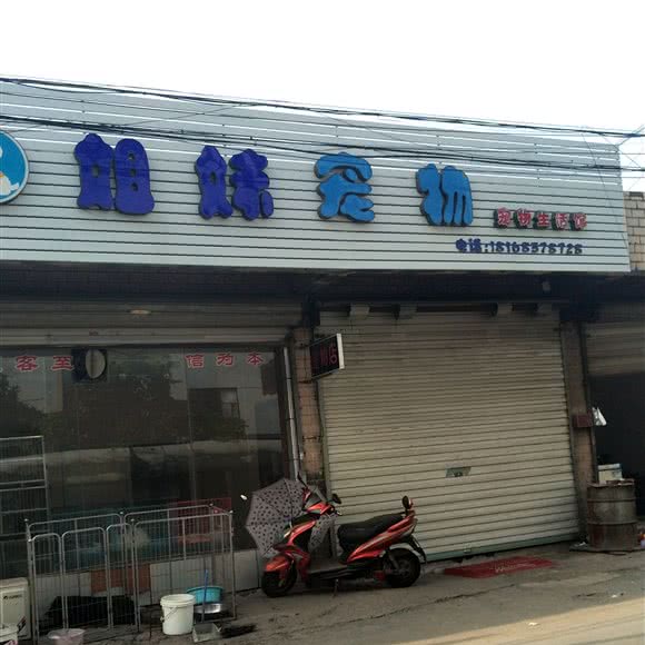 姐妹宠物:苏州市相城区黄埭镇附近