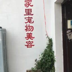 家里宠物美容店:苏州市姑苏区平江路附近
