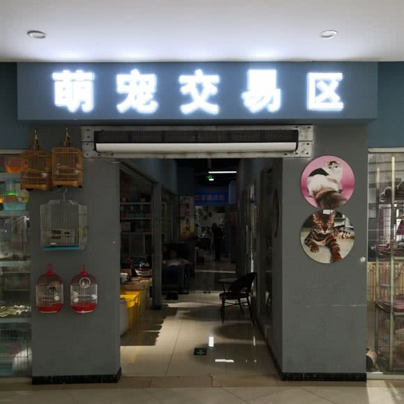萌宠交易区:苏州市姑苏区沧浪新城附近