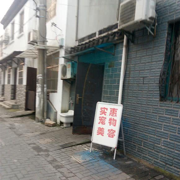 实惠宠物美容:苏州市姑苏区拙政园附近