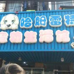 哈姆雷特宠物生活馆:苏州市姑苏区景德路沿线附近