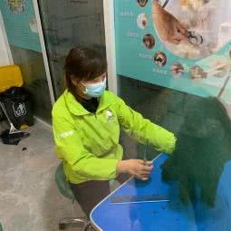 圣宠宠物(珠江四季悦城店):北京城区通州区马驹桥附近